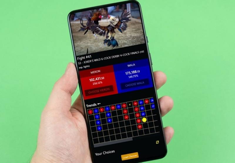 Đá gà cựa dao Mỹ online – Xu hướng chơi mới cho dân cược Việt