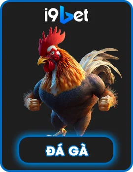 Hình đá gà